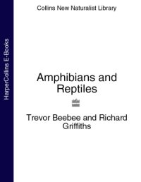 cover of the book Amphibians and Reptiles