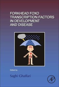 cover of the book Forkhead FOXO Transcription Factors in Development and Disease