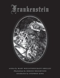 cover of the book Bernie Wrightson's Frankenstein