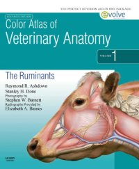 cover of the book Color Atlas of Veterinary Anatomy, Volume 1: The Ruminants [With Access Code]