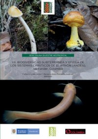 cover of the book Biodiversidad subterránea y epigea de los sistemas cársticos de El Peñón (Andes), Santander, Colombia