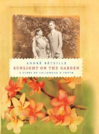 cover of the book Sunlight on the Garden