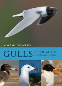 cover of the book Gulls of the World: A Photographic Guide