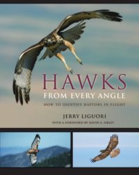 cover of the book Hawks from Every Angle: How to Identify Raptors in Flight