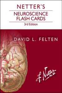 cover of the book Netter's Neuroscience Flash Cards