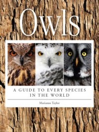 cover of the book Owls