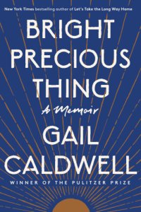 cover of the book Bright precious thing: a memoir