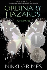 cover of the book Ordinary hazards