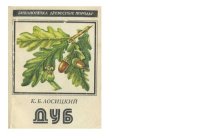 cover of the book Дуб