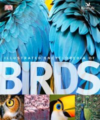 cover of the book Illustrated encyclopedia of birds