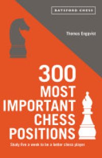 cover of the book 300 Most Important Chess Positions