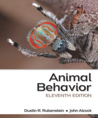 cover of the book Animal Behavior: An Evolutionary Approach