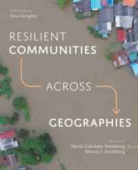 cover of the book Resilient Communities across Geographies