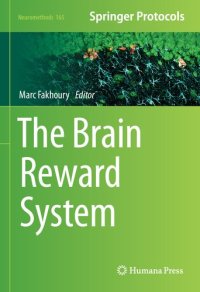 cover of the book The Brain Reward System