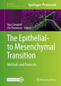 cover of the book The Epithelial-to Mesenchymal Transition: Methods and Protocols