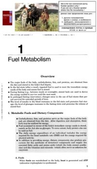 cover of the book Biochemistry (Board Review Series)