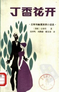 cover of the book 丁香花开