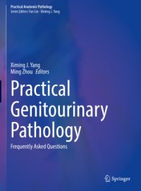 cover of the book Practical Genitourinary Pathology: Frequently Asked Questions