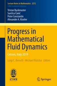 cover of the book Progress in Mathematical Fluid Dynamics: Cetraro, Italy 2019