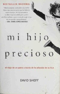 cover of the book Mi hijo precioso: el viaje de un padre a través de la adicción de su hijo