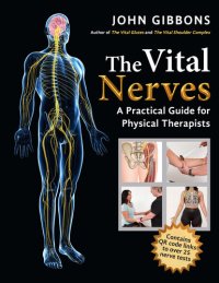 cover of the book The Vital Nerves