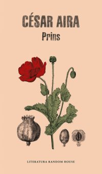 cover of the book Prins