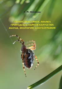 cover of the book Пауки (Arachnida: Aranei) природных парков Камчатки : фауна, экология, зоогеография =: Spiders (Arachnida: Aranei) of Kamchatka's natural parks: fauna, ecology, zoogeography : монография