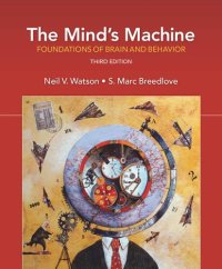 cover of the book The Mind's Machine: Foundations of Brain and Behavior