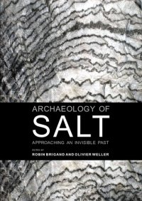 cover of the book Archaeology of Salt: Approaching an Invisible Past