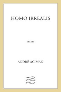 cover of the book Homo Irrealis