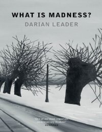 cover of the book What Is Madness?