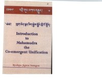 cover of the book Introduction to Mahamudra the Co-emergent Unification: An Ornament which is the Luminosity of the Primordial Awareness that Dispels the Darkness of Ignorance