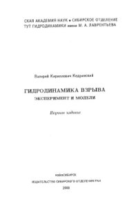 cover of the book Гидродинамика взрыва. Эксперимент и модели