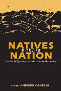 cover of the book Natives Making Nation : Gender, Indigeneity, and the State in the Andes