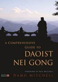 cover of the book A Comprehensive Guide to Daoist Nei Gong