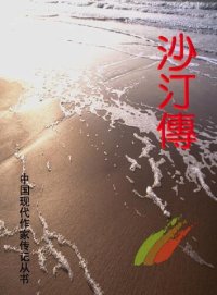 cover of the book 沙汀传