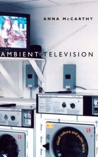 cover of the book Ambient Television: Visual Culture and Public Space