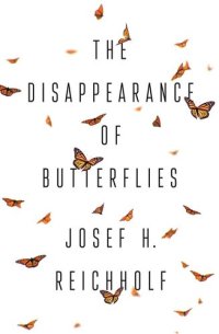 cover of the book The Disappearance of Butterflies