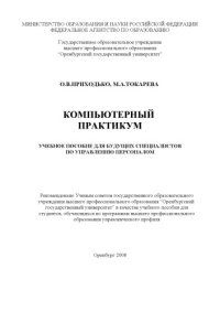 cover of the book Компьютерный практикум