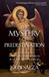 cover of the book The Mystery of Predestination: According to Scripture, the Church and St. Thomas Aquinas