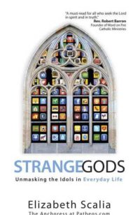 cover of the book Strange Gods: Unmasking the Idols in Everyday Life