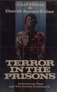 cover of the book Terror in the Prisons: Homosexual Rape and why society condones it