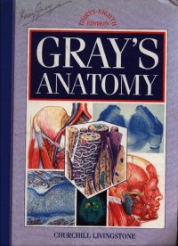 cover of the book Gray's anatomy - the anatomical basis of medicine and surgery (part 1)