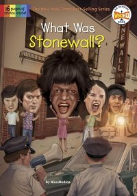 cover of the book What Was Stonewall?