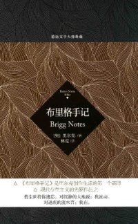 cover of the book 布里格手记