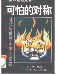 cover of the book 可怕的对称: 现代物理学中美的探索