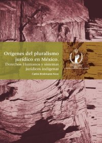 cover of the book Orígenes del pluralismo jurídico en México: derechos humanos y sistemas jurídicos indigenas