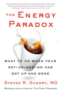 cover of the book Energy Paradox : What to Do When Your Get-up-and-go Has Got Up and Gone