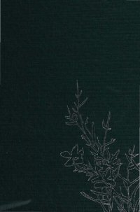 cover of the book Ch’an and Zen teaching