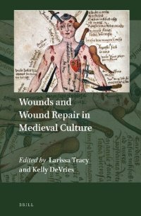 cover of the book Wounds and Repair in Medieval Culture